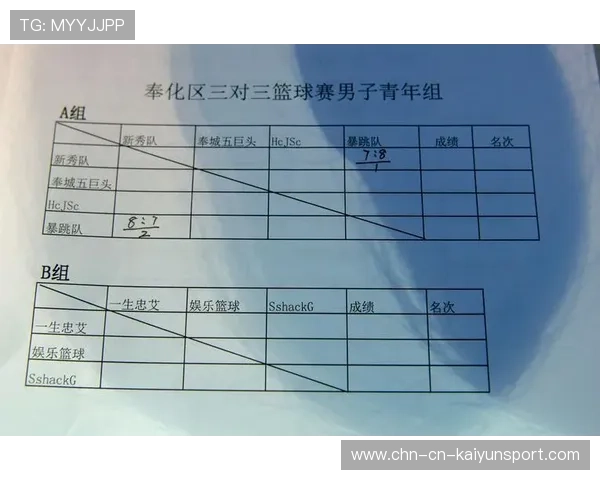 篮球运动在中国家庭消费决策中的主导因素，论述篮球在我国的发展状况